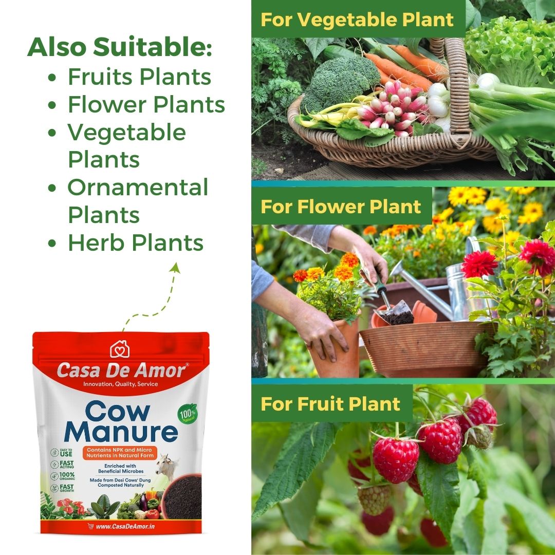Casa De Amor Special Combo Pack- Neem Khal Powder (900 gm)+Organic Cow Manure and Compost (900 gm)