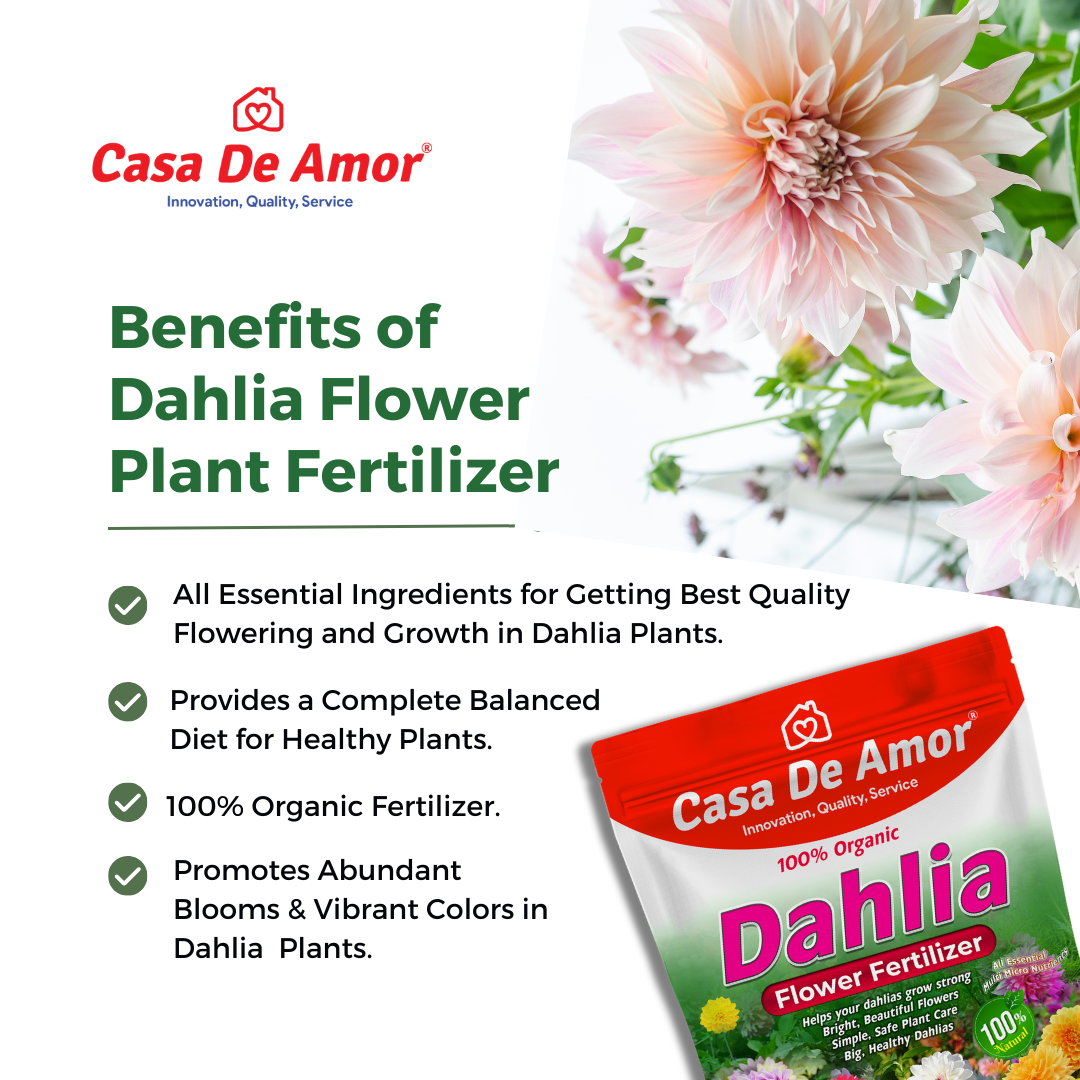 Casa De Amor Organic Dahlia Flower Fertilizer – Boost Blooms for More Size and Beauty