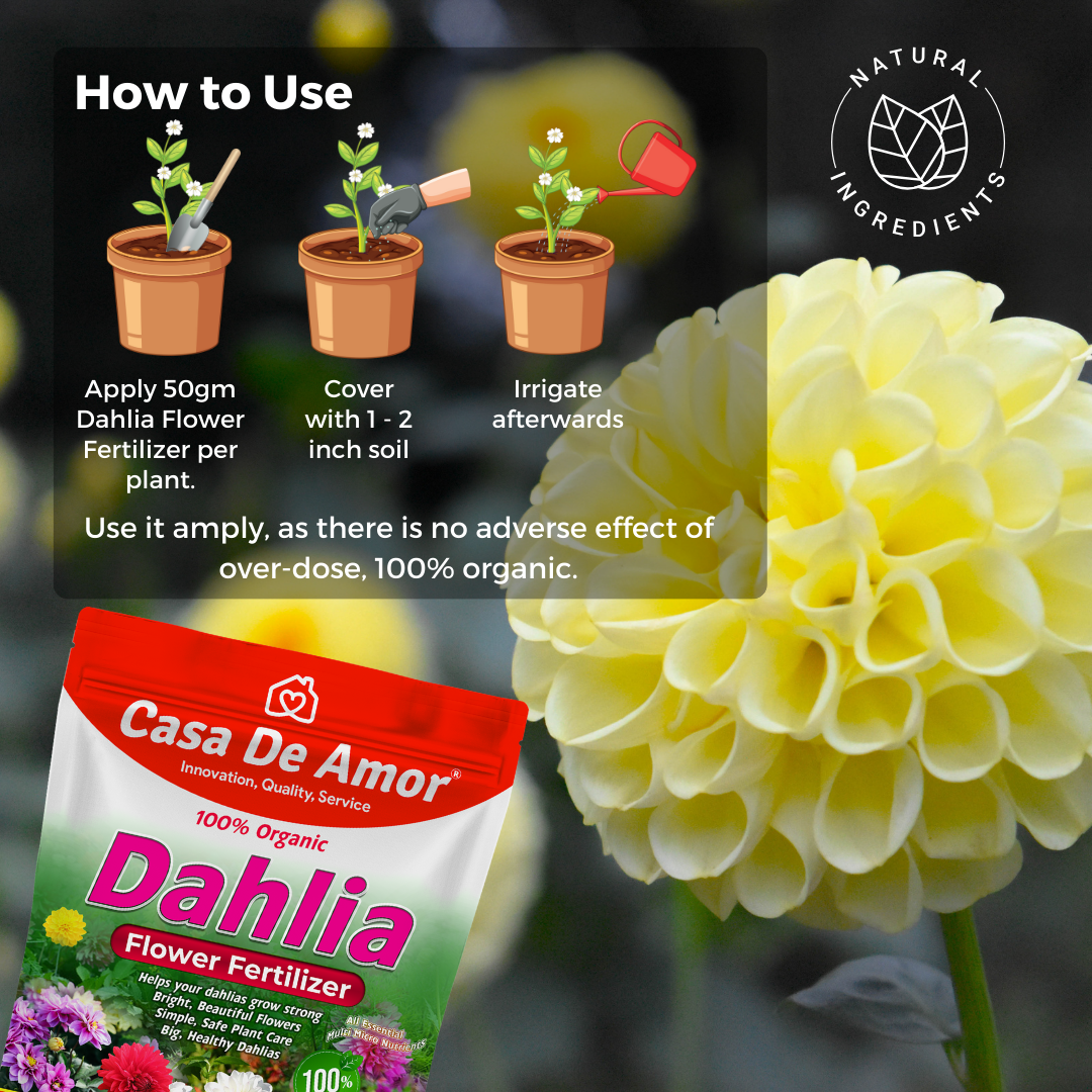 Casa De Amor Organic Dahlia Flower Fertilizer – Boost Blooms for More Size and Beauty