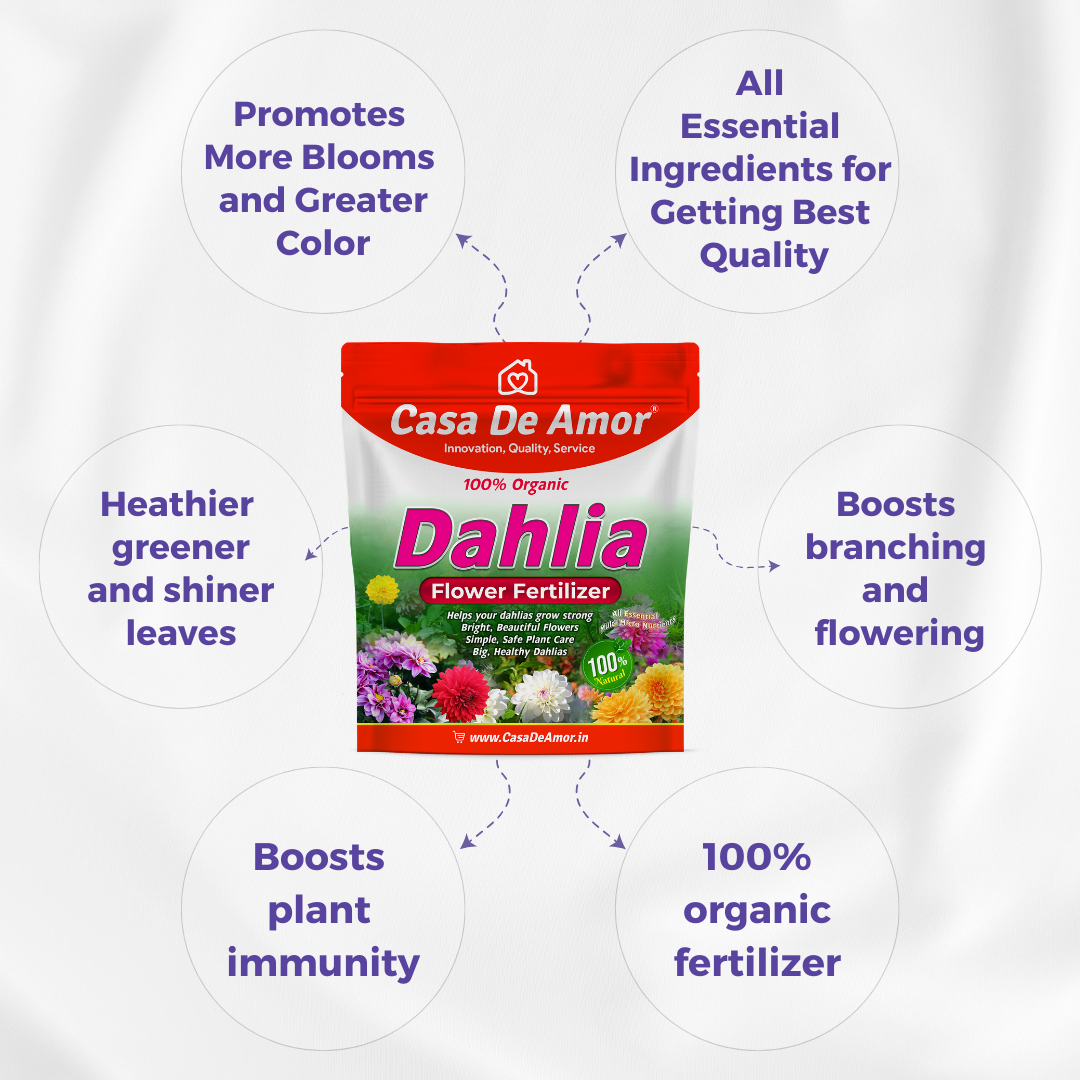 Casa De Amor Organic Dahlia Flower Fertilizer – Boost Blooms for More Size and Beauty