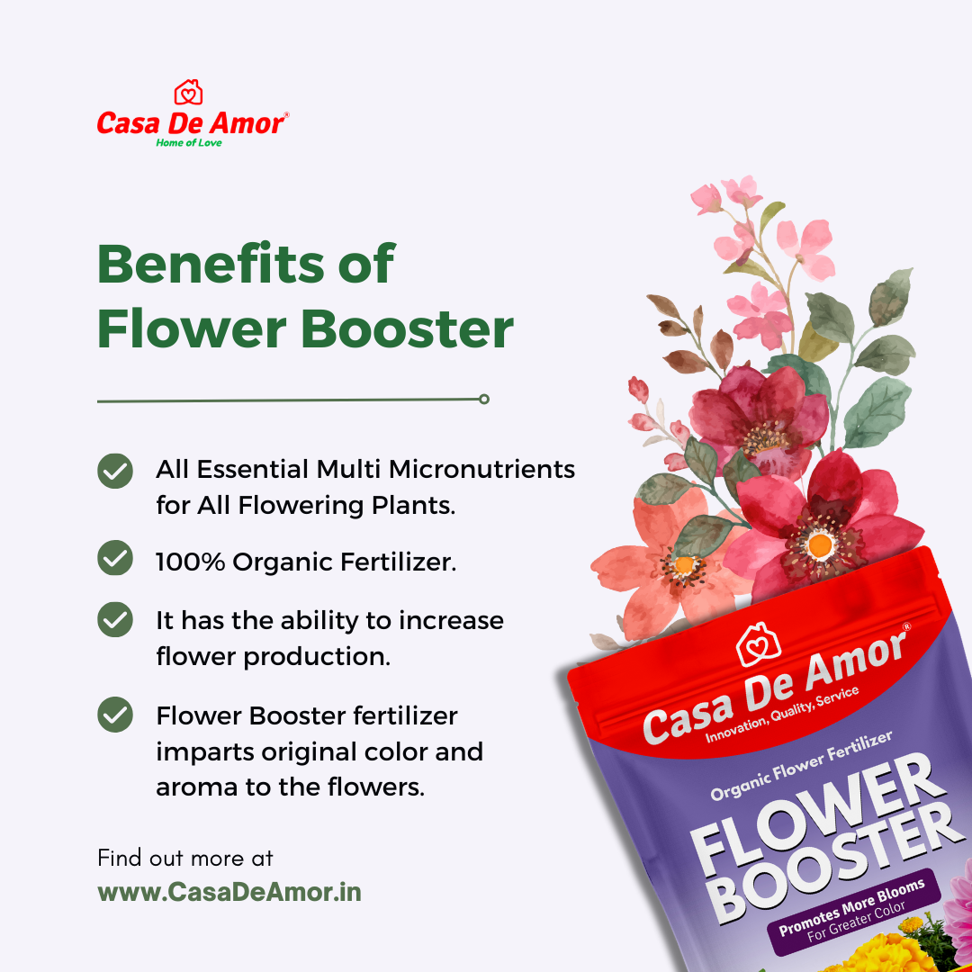 Casa De Amor Flower Booster Special for Flower Plants