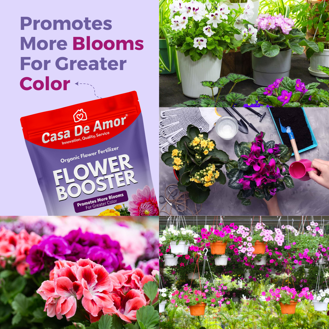 Casa De Amor Flower Booster Fertilizer for Flower Plants (900 GM) +Growth Booster Liquid Bio-Fertilizer (500 ml) for Indoor/Outdoor Plants- Combo Pack