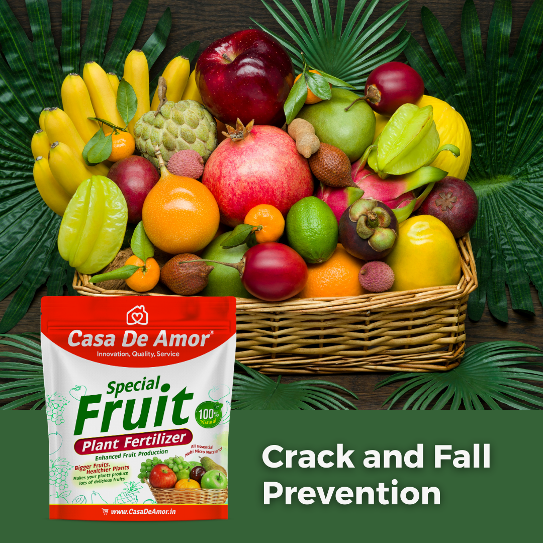 Casa De Amor Special Fruit Plant Fertilizer- Nourish for Bigger, Healthier, and Crack-Free Harvests