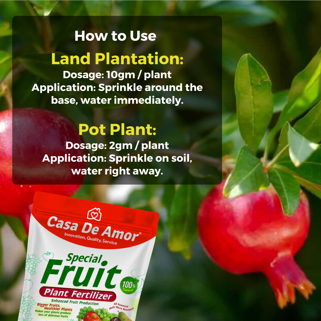 Casa De Amor Special Fruit Plant Fertilizer- Nourish for Bigger, Healthier, and Crack-Free Harvests