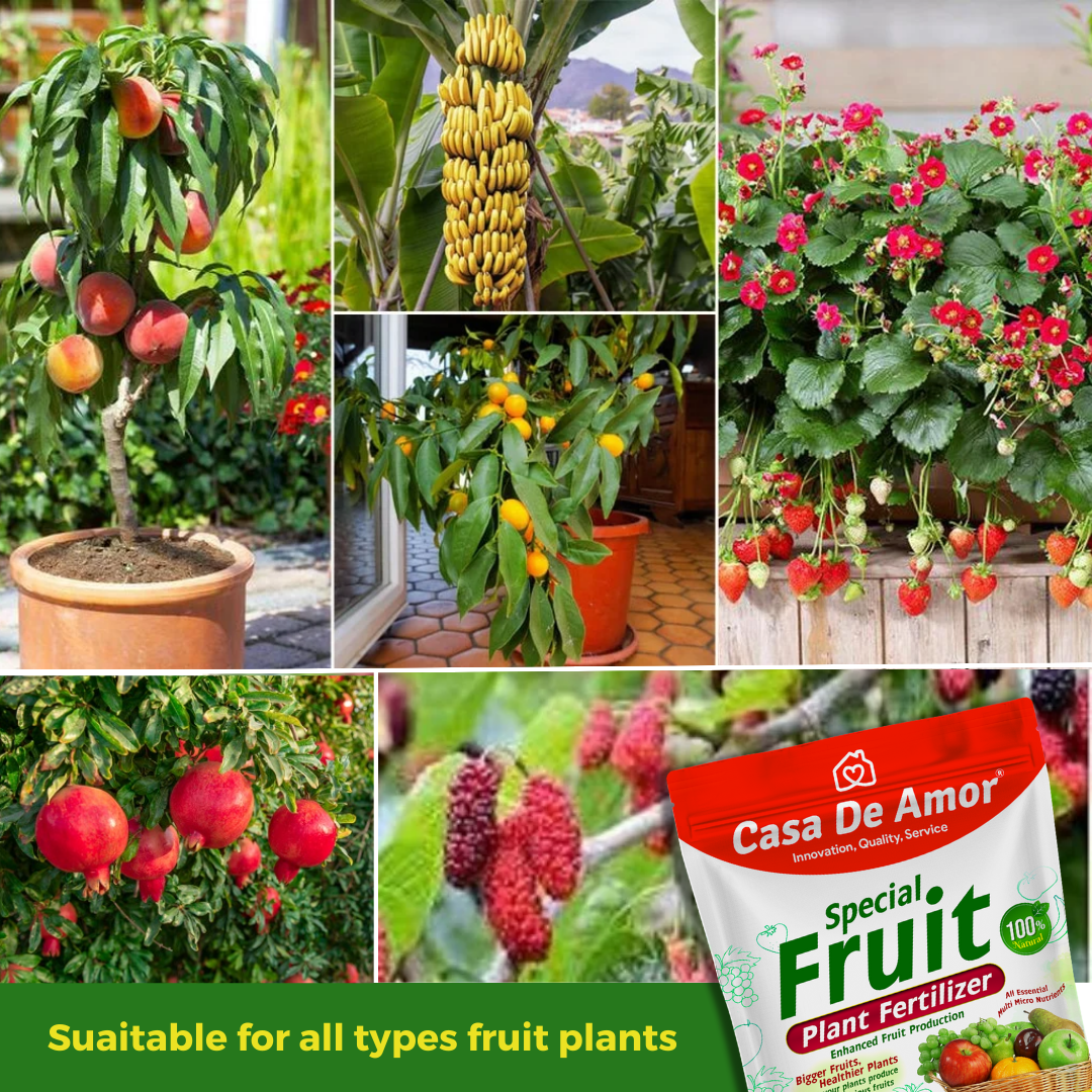 Casa De Amor Special Fruit Plant Fertilizer- Nourish for Bigger, Healthier, and Crack-Free Harvests