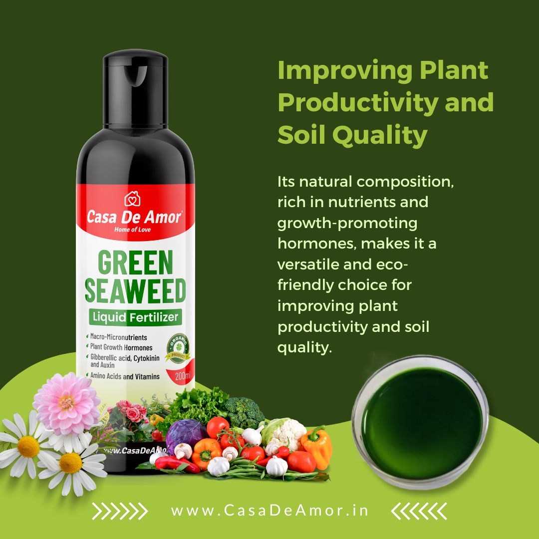 Casa De Amor Natural and Organic Green Seaweed Liquid Fertilizer for Improving Plant Productivity and Soil Quality