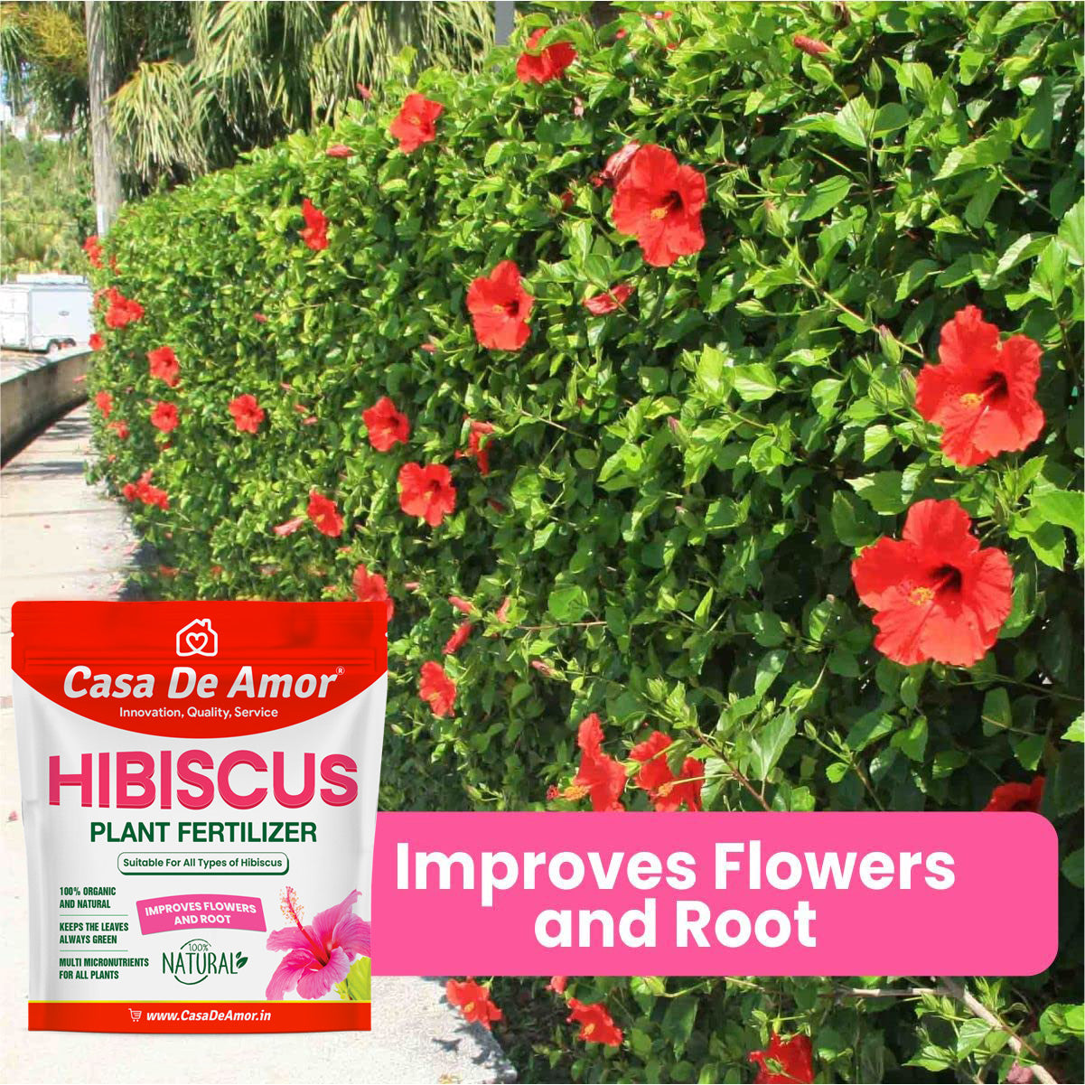 Casa De Amor Organic Hibiscus (Gudhal) Plant Fertilizer for Flowering, Bright Leaves, Healthy Stems and Strong Roots