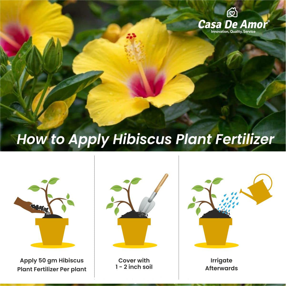 Casa De Amor Organic Hibiscus (Gudhal) Plant Fertilizer for Flowering, Bright Leaves, Healthy Stems and Strong Roots