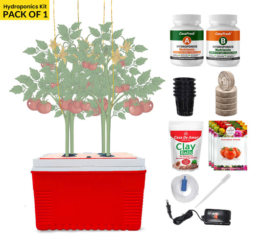 Casa De Amor Hydroponics kit for Vine Plants like Tomato, cucumber for Indoor / Outdoor