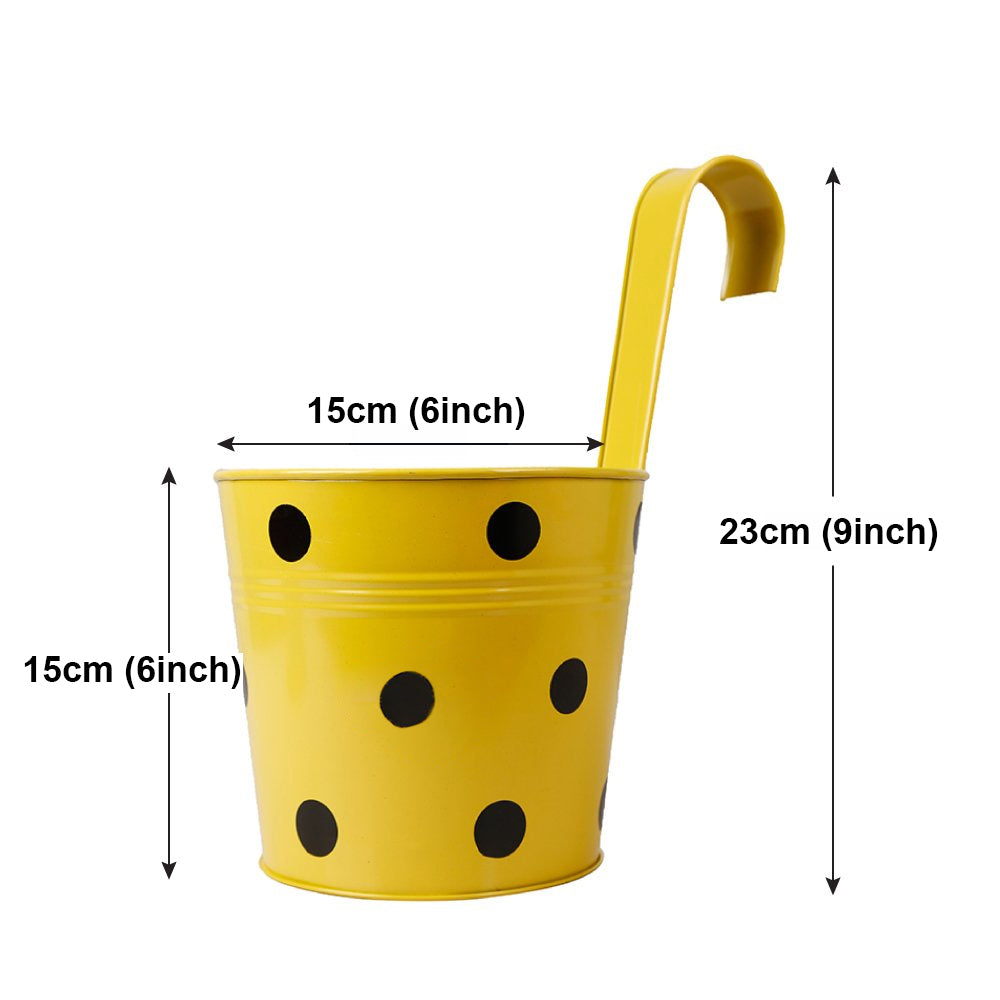 Casa De Amor Round Shape Metal Iron Wall Hanging Flower Pots (Pack of 5, multicolor)
