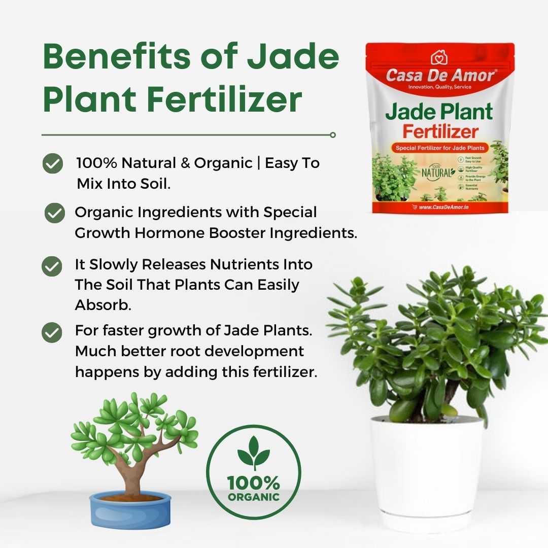 Casa De Amor Organic Jade Plant Fertilizer, Heathier Greener and Shinier Leaves | Jade Good Luck Feng Shui Plant Fertilizer