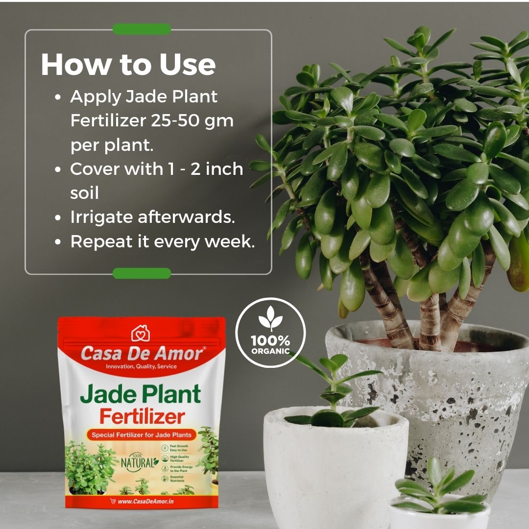 Casa De Amor Organic Jade Plant Fertilizer, Heathier Greener and Shinier Leaves | Jade Good Luck Feng Shui Plant Fertilizer