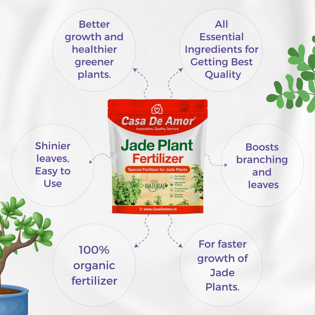 Casa De Amor Organic Jade Plant Fertilizer, Heathier Greener and Shinier Leaves | Jade Good Luck Feng Shui Plant Fertilizer