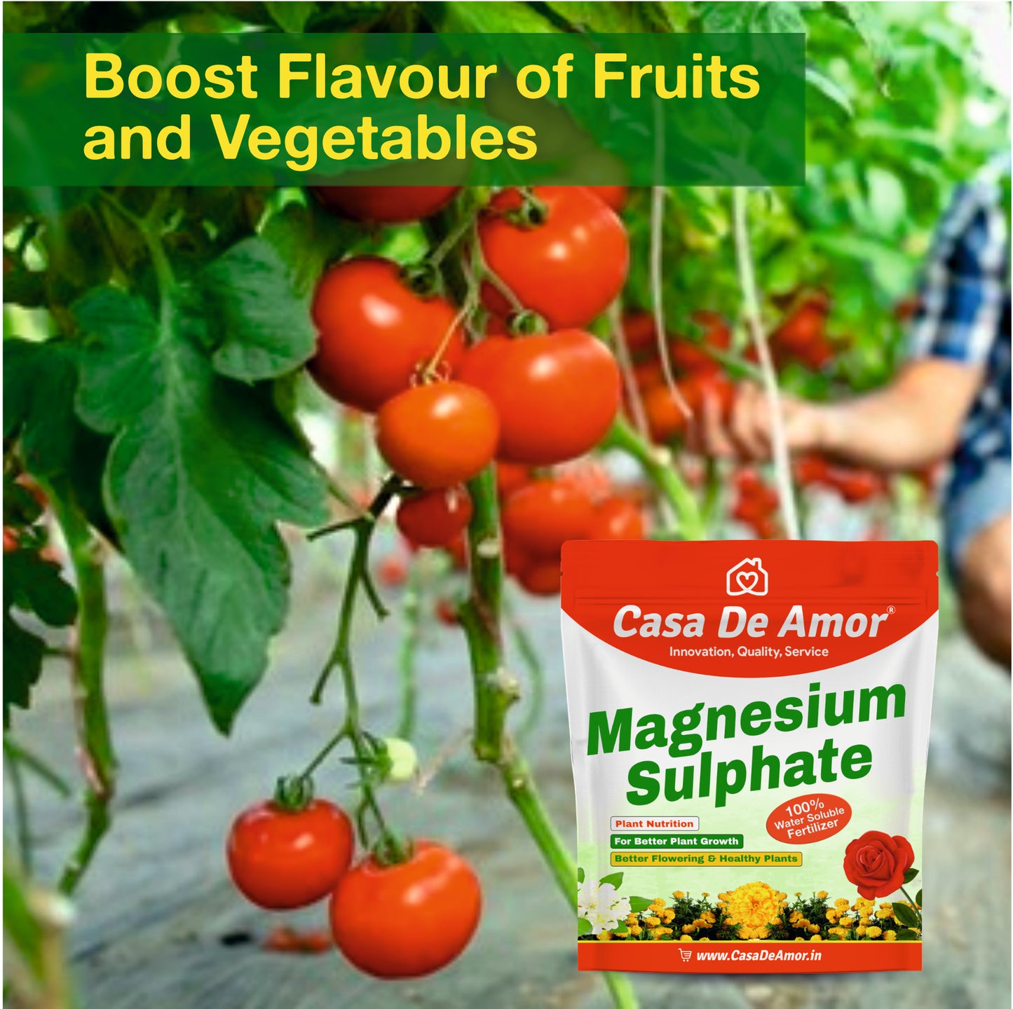 Casa De Amor Magnesium Sulphate for Better Plant Growth, Suitable for all types of plants - flowers, vegetables, indoor plants, outdoor plants