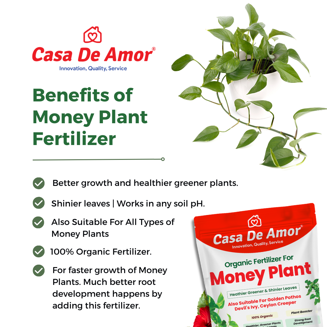 Combo Pack_Tulsi Fertilizer (900 gm) + Money Plant Fertilizer (900 gm) for Balcony, Terrace & Home Gardening