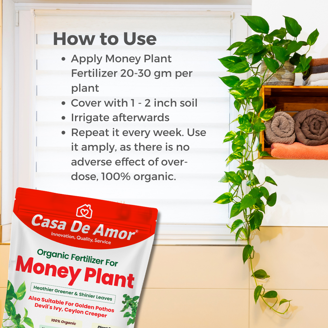 Combo Pack_Tulsi Fertilizer (900 gm) + Money Plant Fertilizer (900 gm) for Balcony, Terrace & Home Gardening