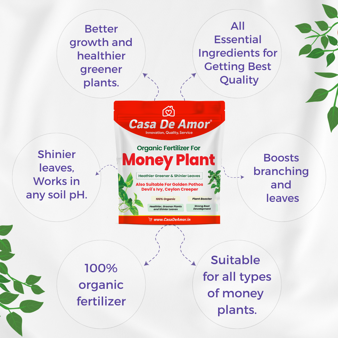 Combo Pack_Tulsi Fertilizer (900 gm) + Money Plant Fertilizer (900 gm) for Balcony, Terrace & Home Gardening