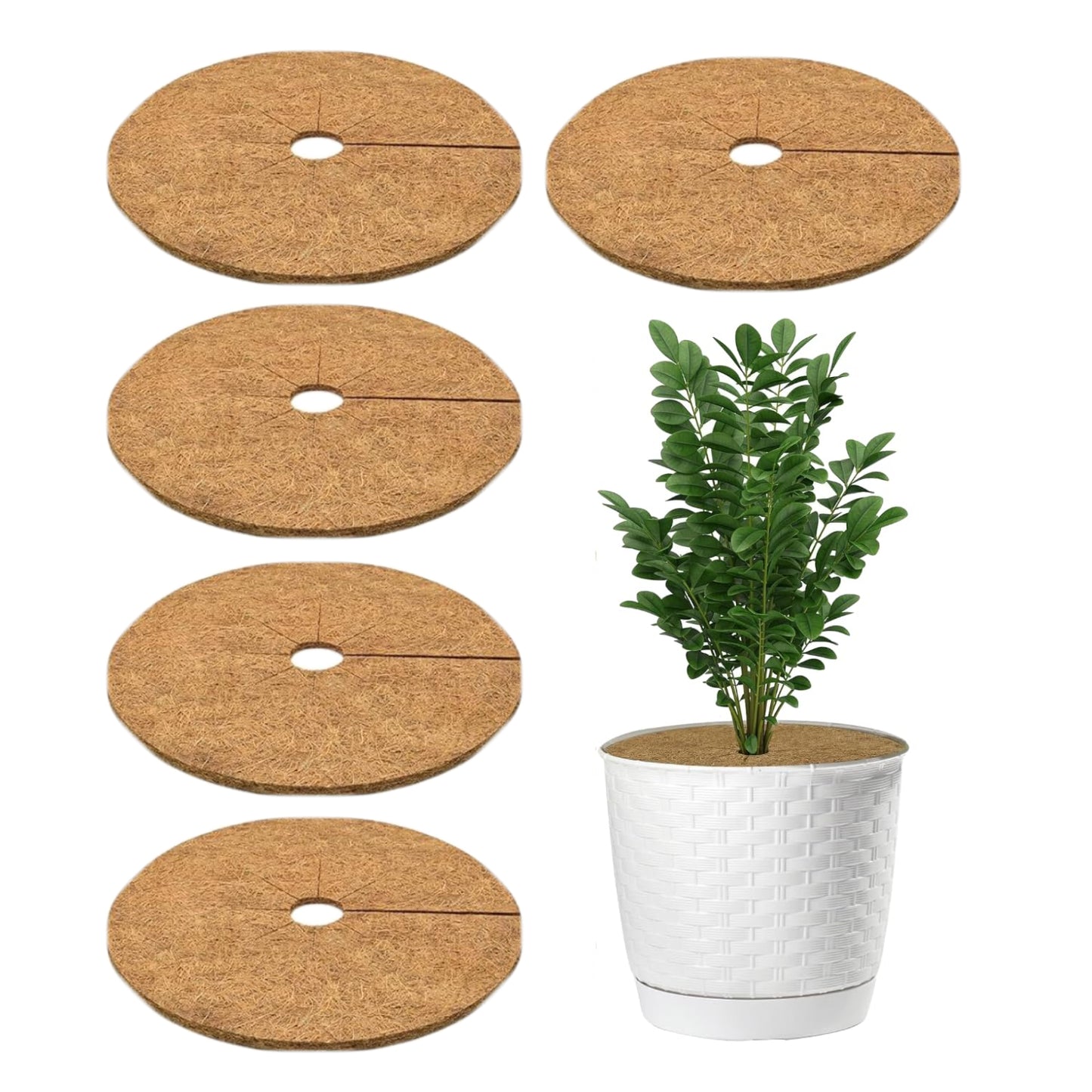 Casa De Amor Coco Coir Mulch Ring Mat | Natural Coconut Fiber Plant Protector for Indoor & Outdoor Plants | Weed Control & Moisture Retention | Root Protection & Soil Health