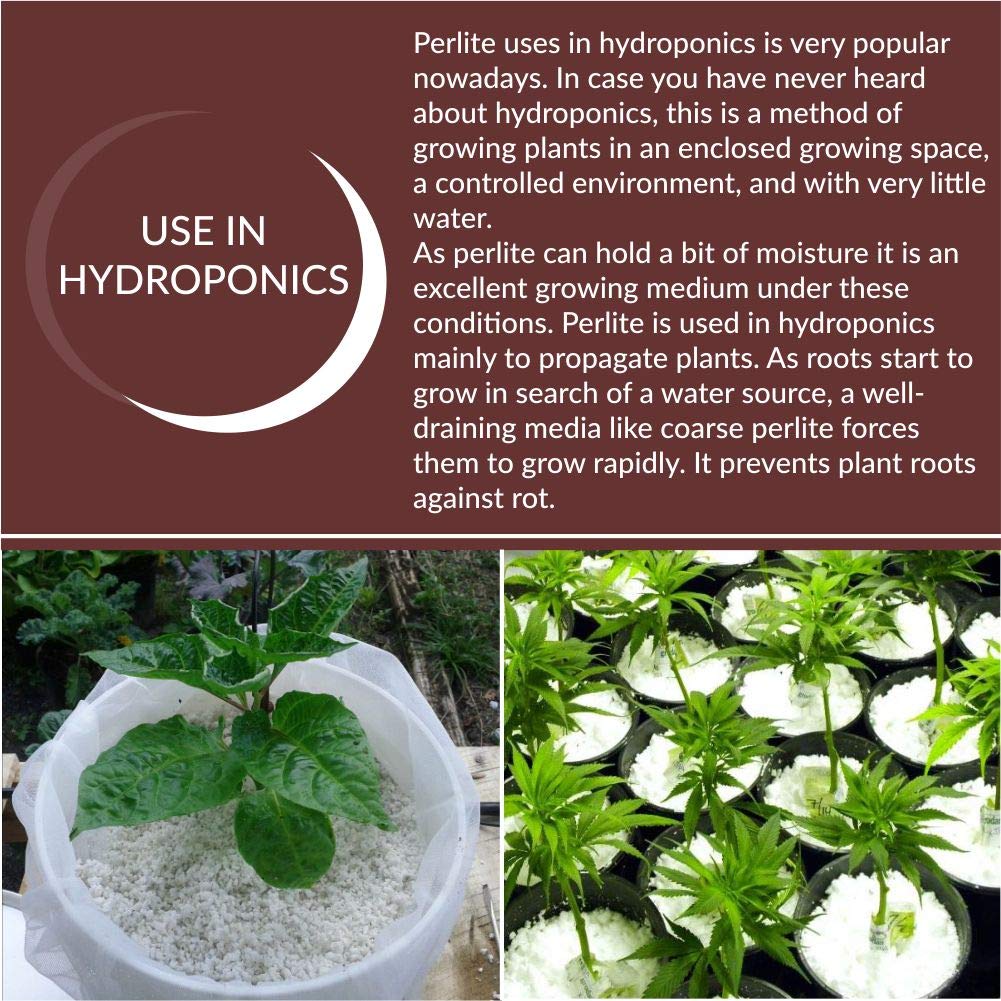 Perlite for Hydroponics & Horticulture Terrace Gardening Soil Conditioner (White)