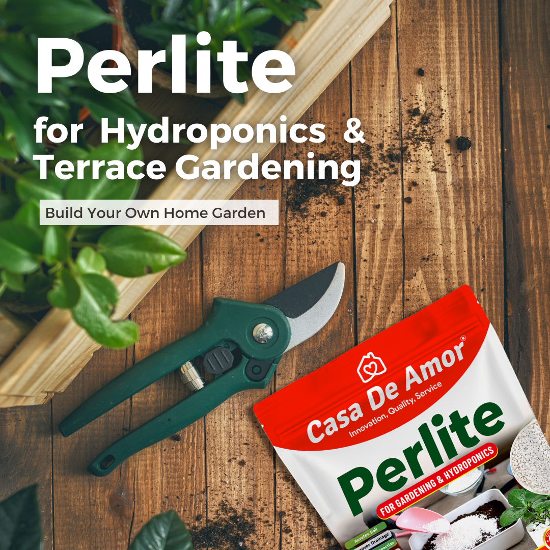 Perlite for Hydroponics & Horticulture Terrace Gardening Soil Conditioner (White)