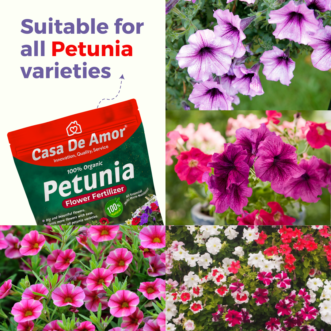 Casa De Amor Organic Petunia Flower Plant Fertilizer for Lush Blooms and Vibrant Colors (900 gm)