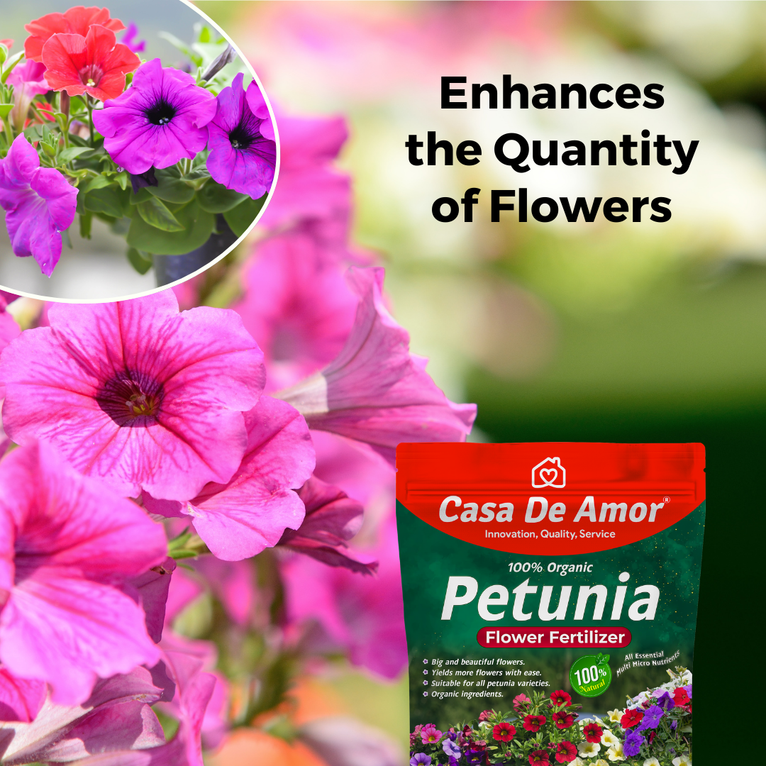 Casa De Amor Organic Petunia Flower Plant Fertilizer for Lush Blooms and Vibrant Colors (900 gm)