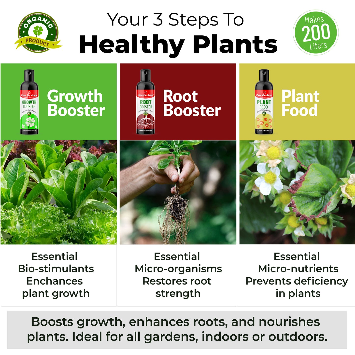 Casa De Amor Plant Growth Kit 3-in-1 Liquid Fertilizers | Ideal for Indoor and Outdoor Gardens (800 ml)