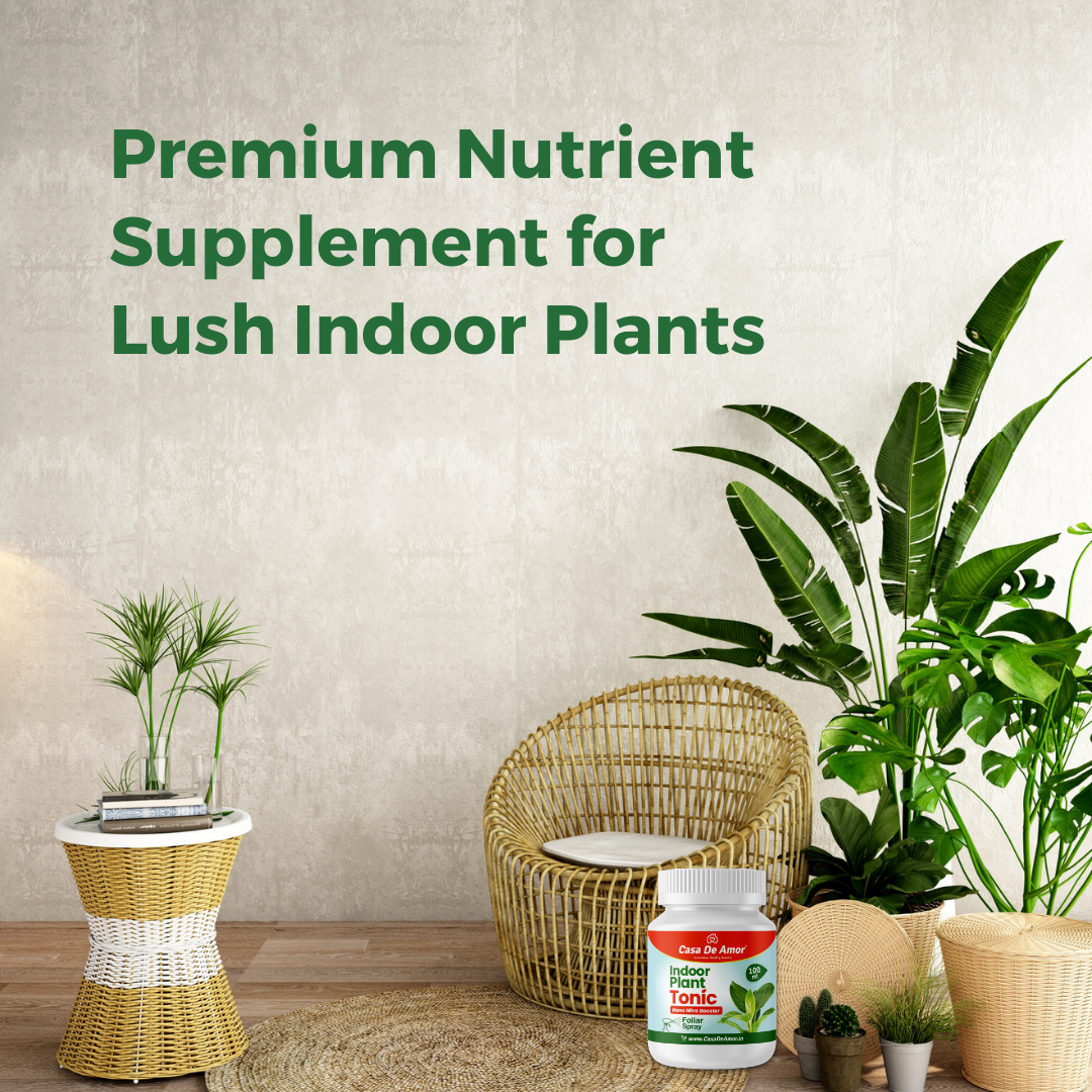 Casa De Amor Indoor Plant Tonic Nano Nitro Booster - Premium Nutrient Supplement for Lush Indoor Plants (100 ml)