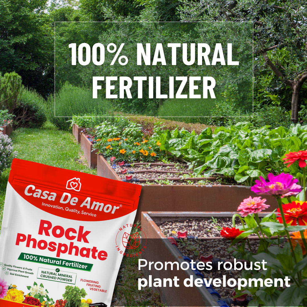 Casa De Amor Natural & Mineral Rock Phosphate Fertilizer All Purpose Crushed Powder for Fruiting and Flowering Plants