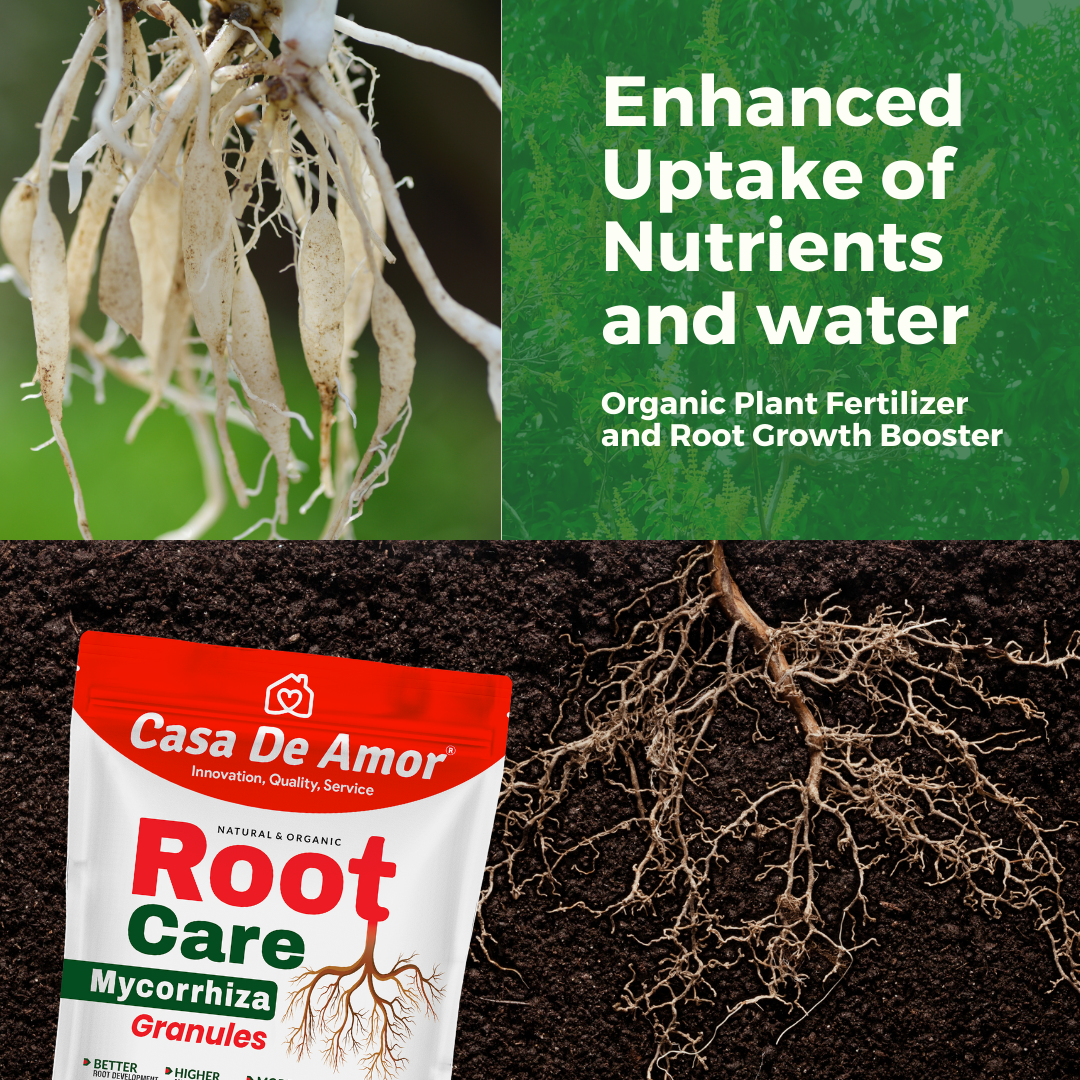 Casa De Amor Root Care VAM Mycorrhiza Organic Plant Fertilizer and Root Growth Booster