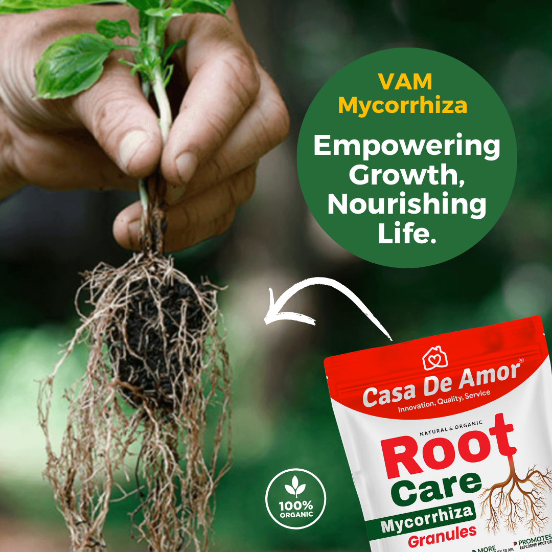 Casa De Amor Root Care VAM Mycorrhiza Organic Plant Fertilizer and Root Growth Booster