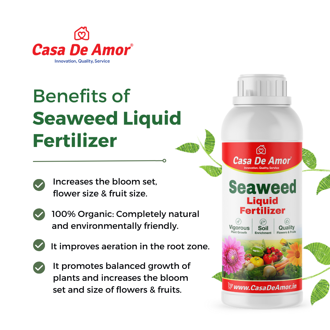 Casa De Amor Liquid Fertilizer Seaweed Extract for spray and drenching for Indoor and outdoor Plants