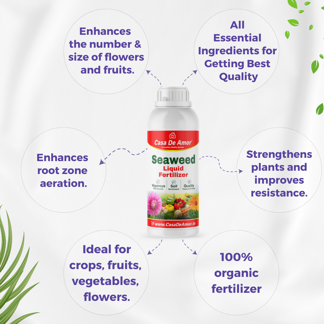 Casa De Amor Liquid Fertilizer Seaweed Extract for spray and drenching for Indoor and outdoor Plants