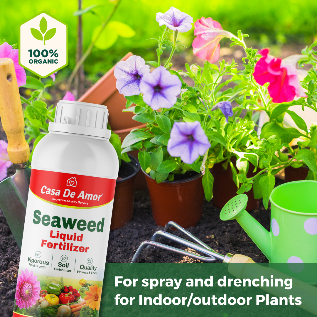 Casa De Amor Liquid Fertilizer Seaweed Extract for spray and drenching for Indoor and outdoor Plants