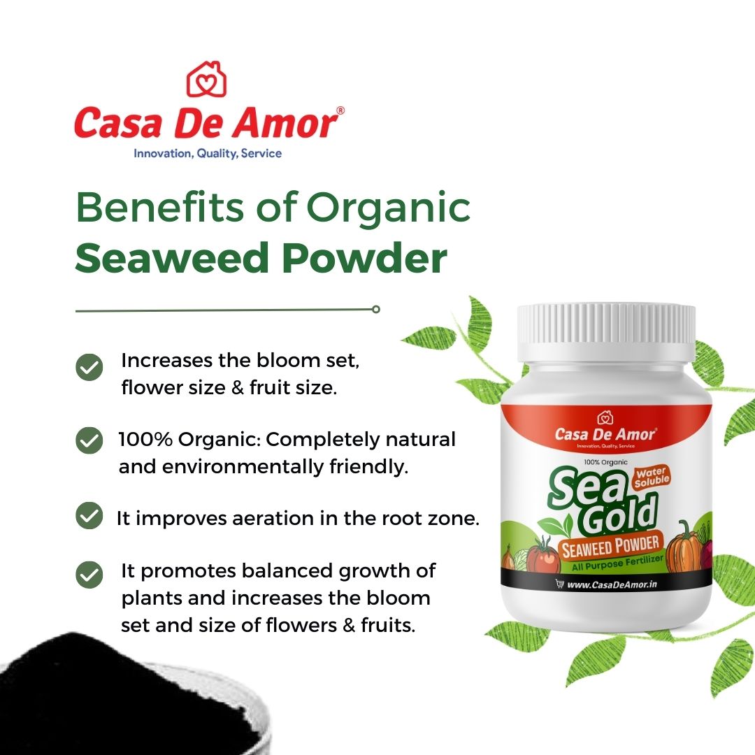 Casa De Amor Sea Gold Organic Seaweed Extract Powder | All Purpose Fertilizer and Plant Growth Booster