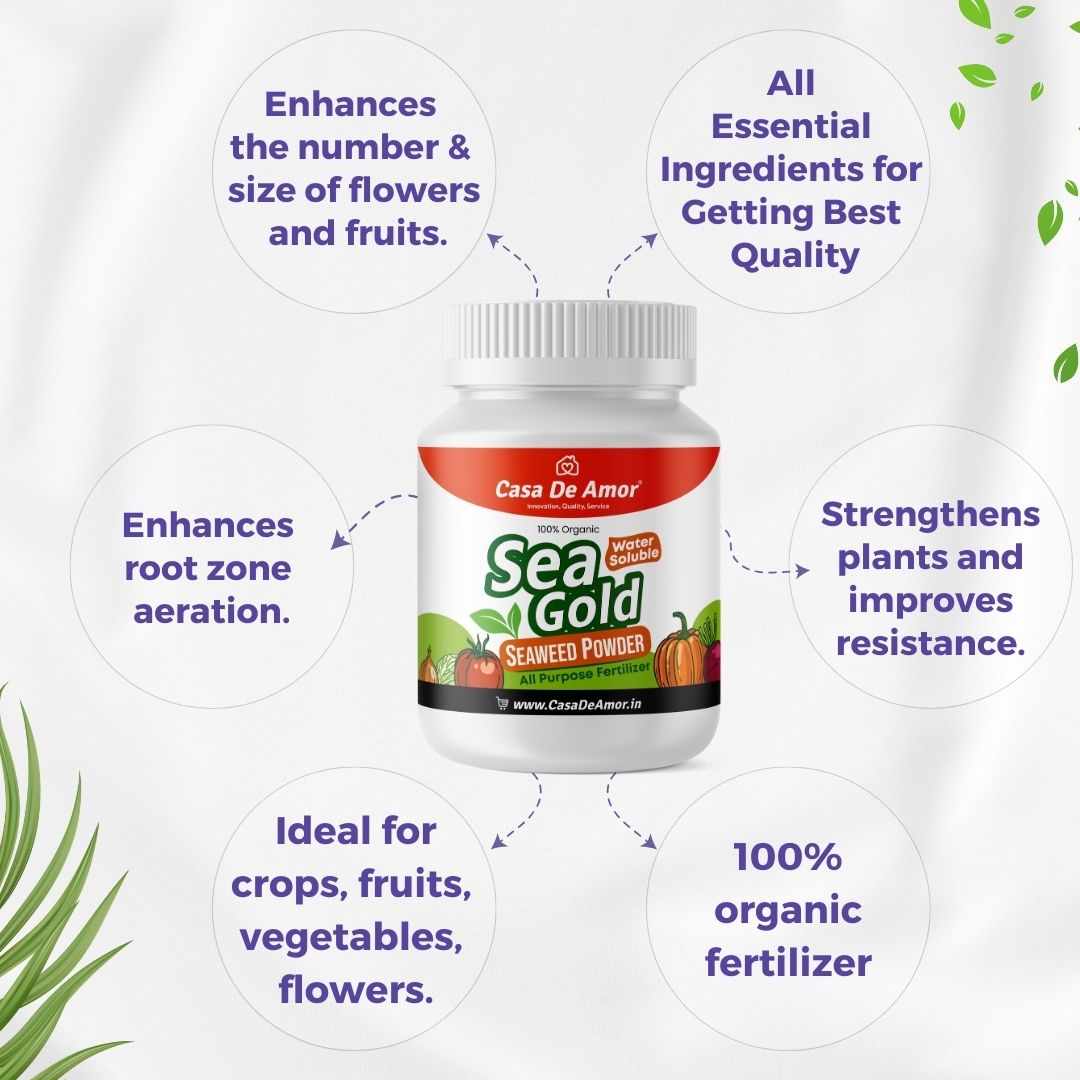 Casa De Amor Sea Gold Organic Seaweed Extract Powder | All Purpose Fertilizer and Plant Growth Booster