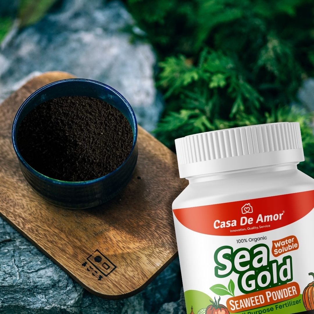 Casa De Amor Sea Gold Organic Seaweed Extract Powder | All Purpose Fertilizer and Plant Growth Booster