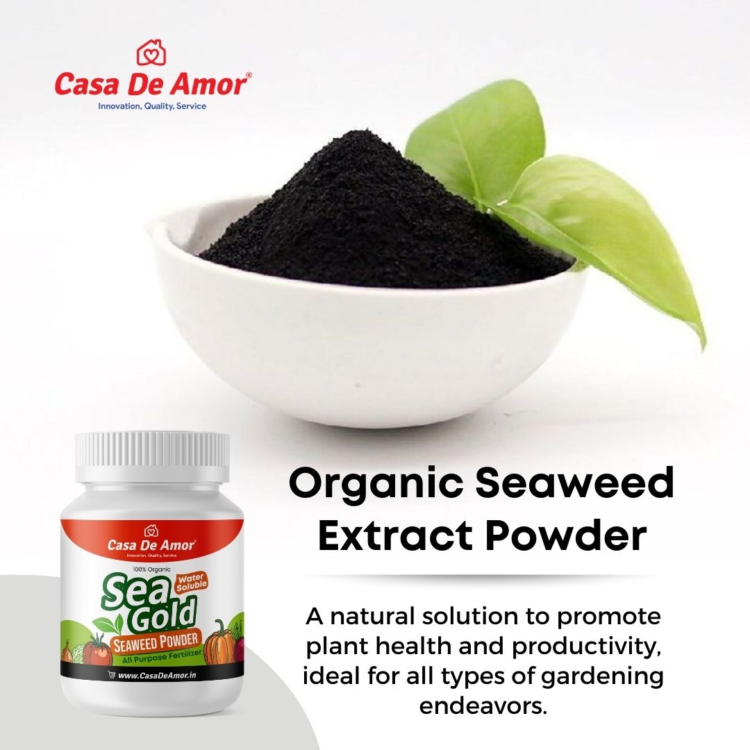 Casa De Amor Sea Gold Organic Seaweed Extract Powder | All Purpose Fertilizer and Plant Growth Booster