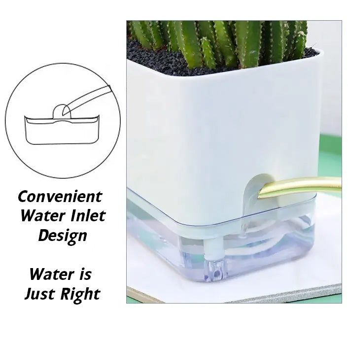 Casa De Amor Self Watering Pots for Indoor Plants | Home Decor, Living Room, Table Top | Plants not Included | 150gm Coco Brick Free