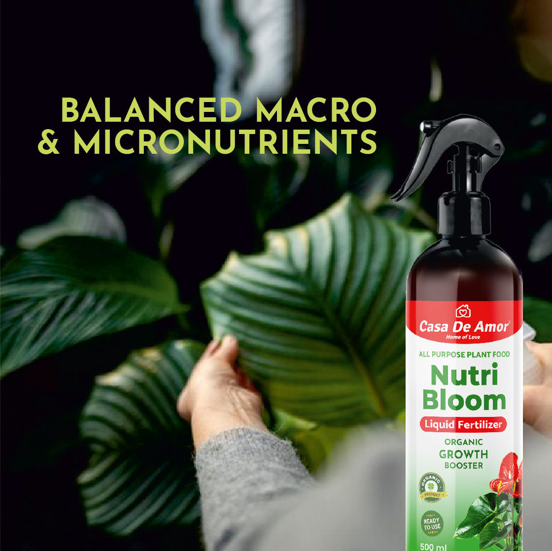 Casa De Amor Nutri Bloom – Plant Growth Booster for Potted Indoor and Outdoor Plants, Balanced Macro & Micro Nutrients, Ready to Use Spray- 500ml