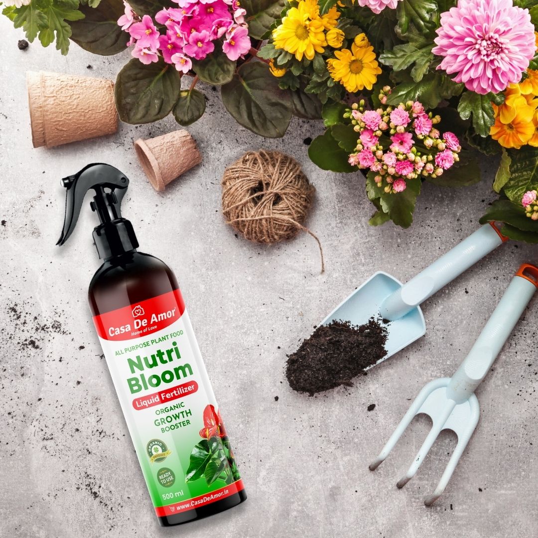 Casa De Amor Nutri Bloom – Plant Growth Booster for Potted Indoor and Outdoor Plants, Balanced Macro & Micro Nutrients, Ready to Use Spray- 500ml