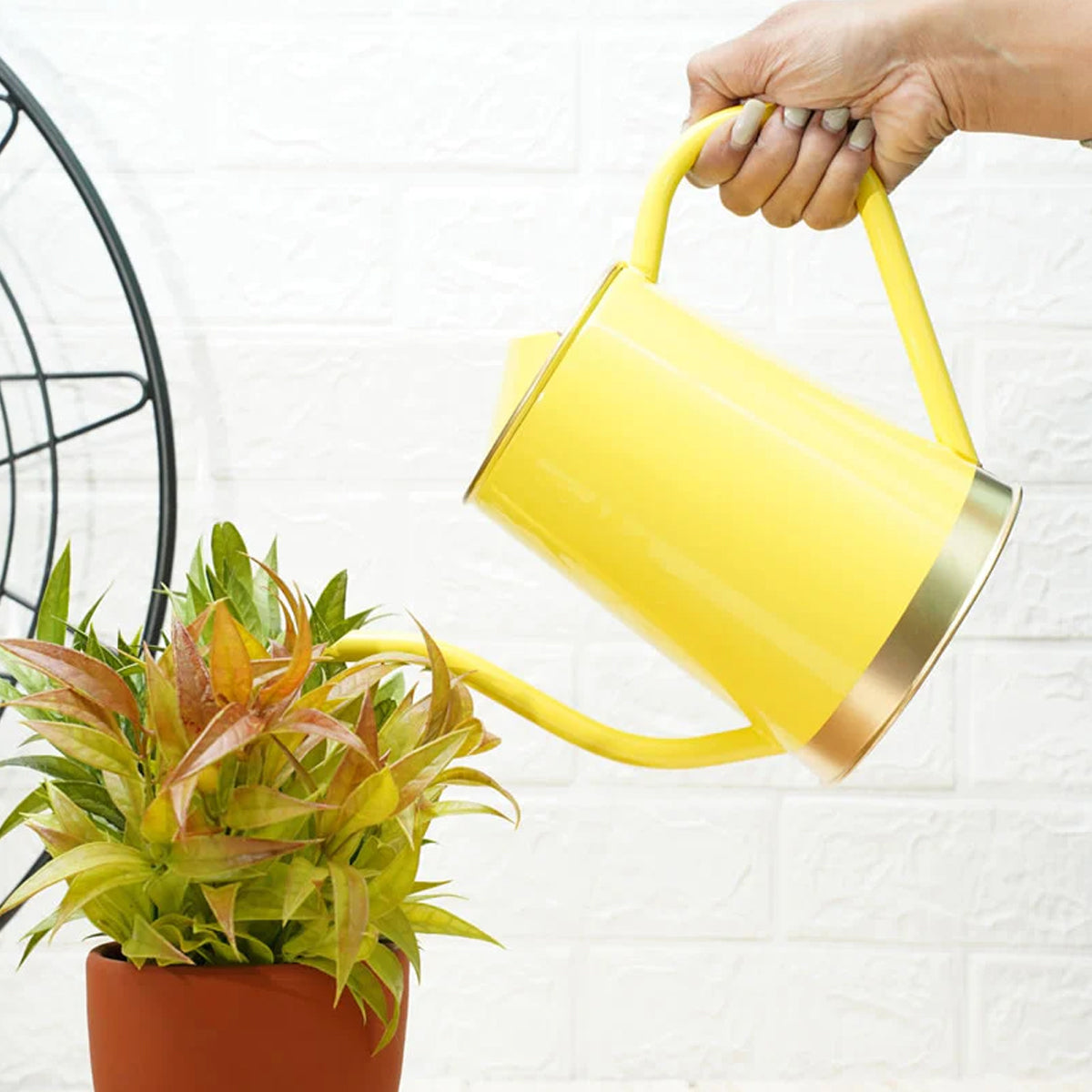 Casa De Amor Metal Watering Can 1.5 Liter: Perfect for Plants, Kid-Friendly Garden Care