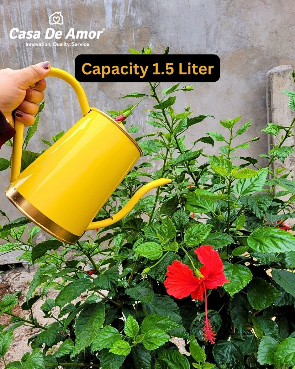 Casa De Amor Metal Watering Can 1.5 Liter: Perfect for Plants, Kid-Friendly Garden Care