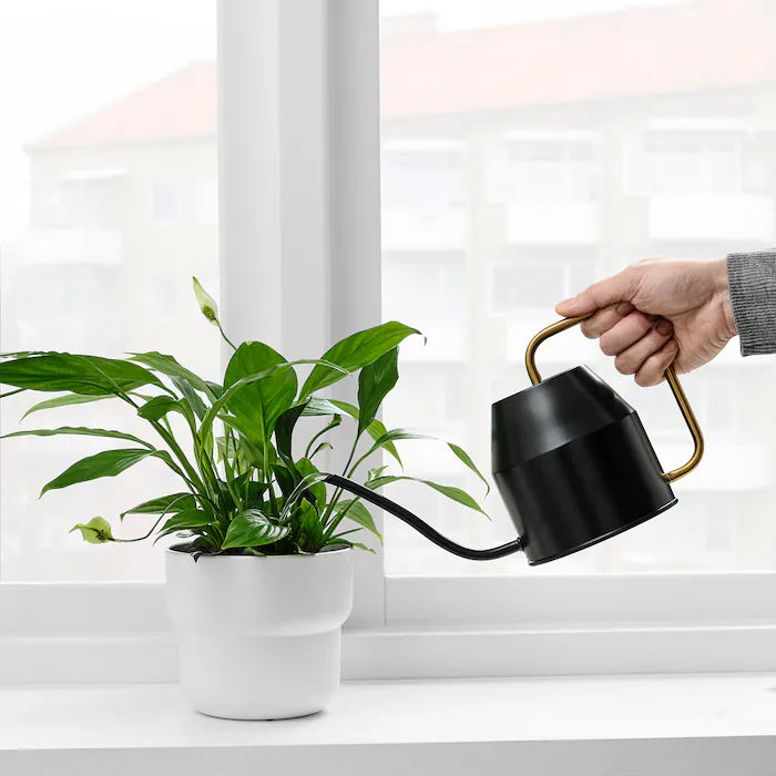 Casa De Amor Metal Watering Can (900 ml) with Long Spout for Indoor and Outdoor Gardening