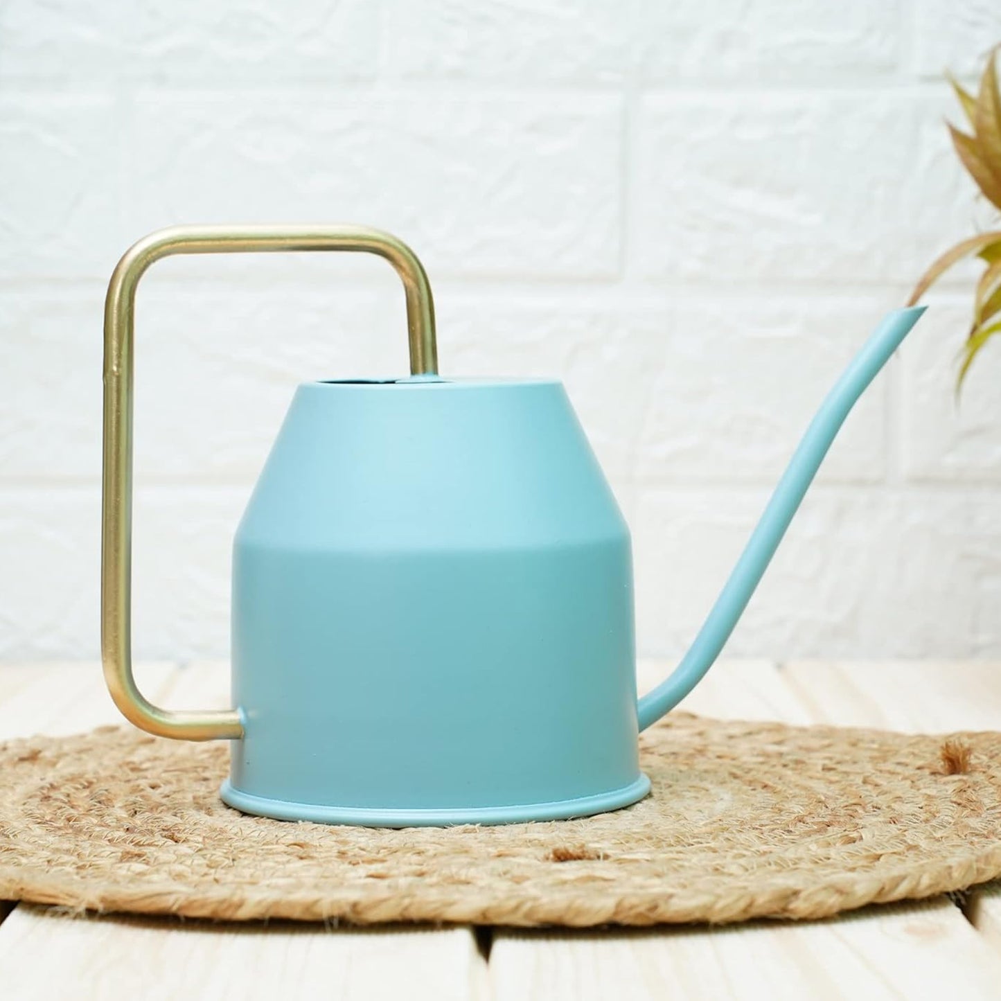 Casa De Amor Metal Watering Can (900 ml) with Long Spout for Indoor and Outdoor Gardening