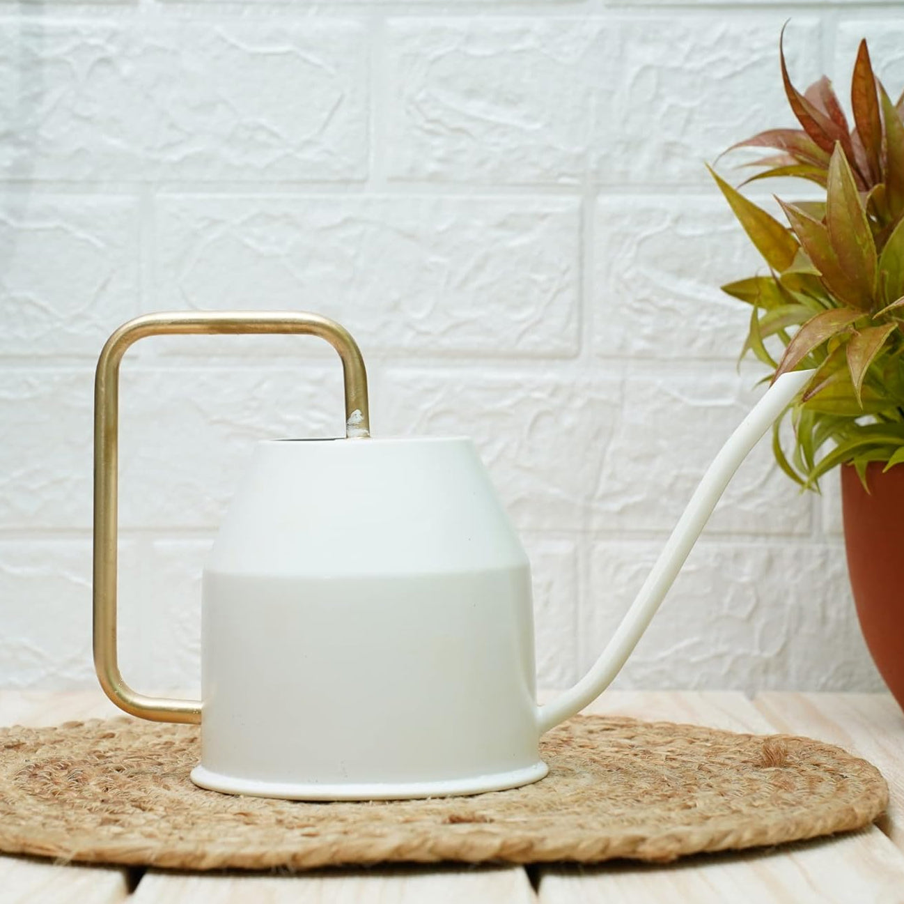 Casa De Amor Metal Watering Can (900 ml) with Long Spout for Indoor and Outdoor Gardening
