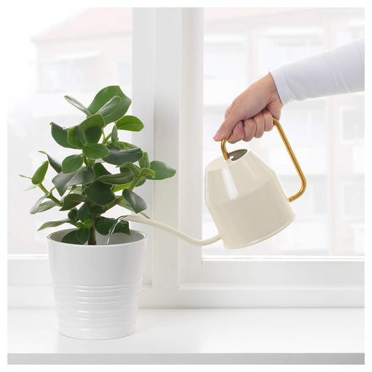 Casa De Amor Metal Watering Can (900 ml) with Long Spout for Indoor and Outdoor Gardening