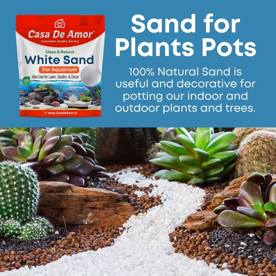 Casa De Amor White Sand Aquarium, Natural Sugar Size for Aquarium Decoration/ Home & Garden/ Lawn / Terrarium/ Quartz