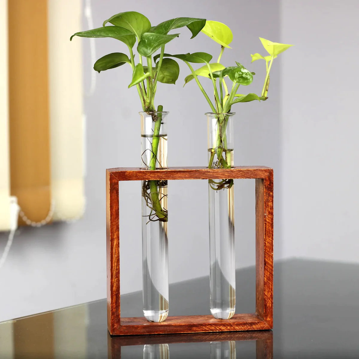 Casa De Amor Test Tube Planter with Wooden Holder for Office Table Top & Living Room Decoration