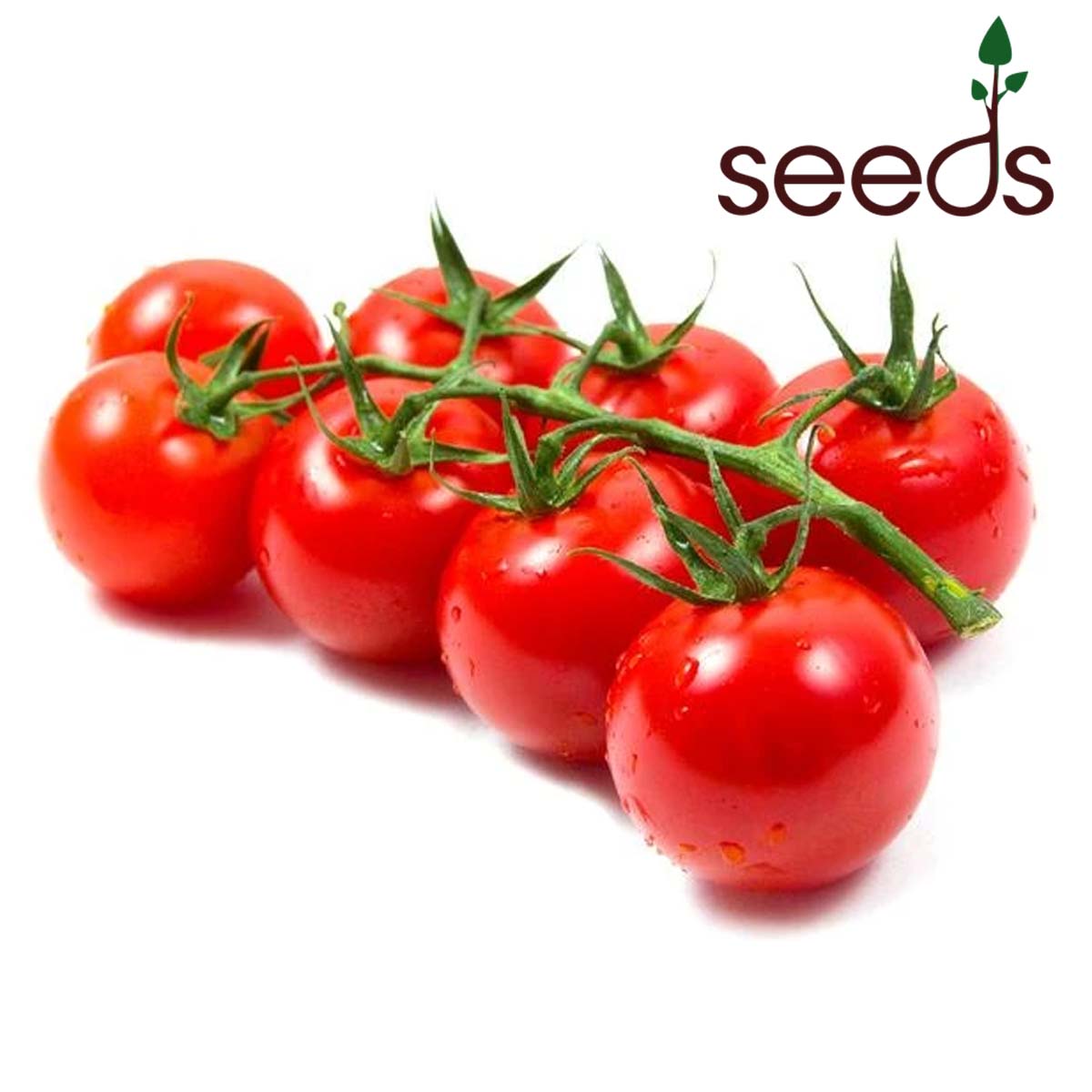 Tomato Cherry- 100 Seeds